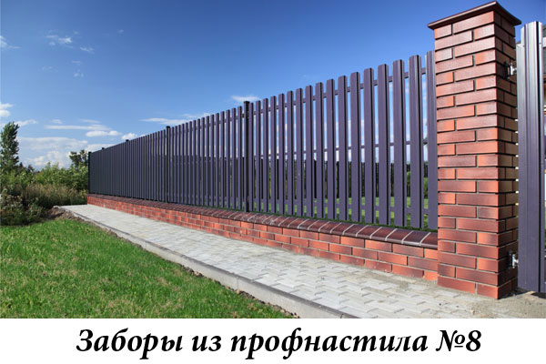 Заборы из профнастила №8