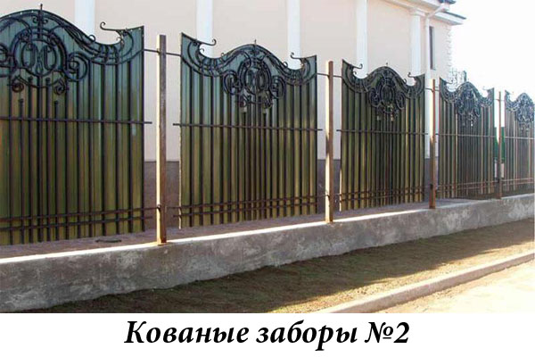 Эксклюзивные кованые заборы № 2