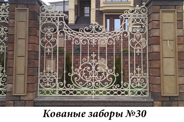 Эксклюзивные кованые заборы № 30